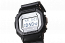 DW-5600PGB-1E